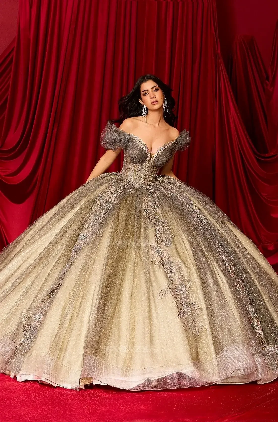 A woman in an elegant gown with a voluminous skirt stands against rich red drapery. The dress features intricate lace details and an off-the-shoulder design. She has a confident expression, adding a sense of glamour and sophistication.