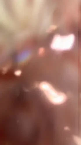 Instagram #0