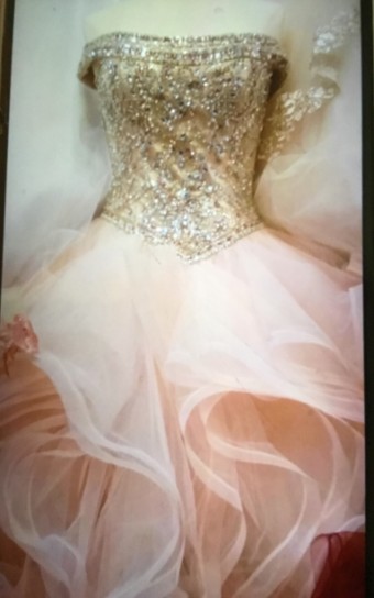 Leona Lee Inc. Style #L17037 #1 default Champagne/Nude thumbnail